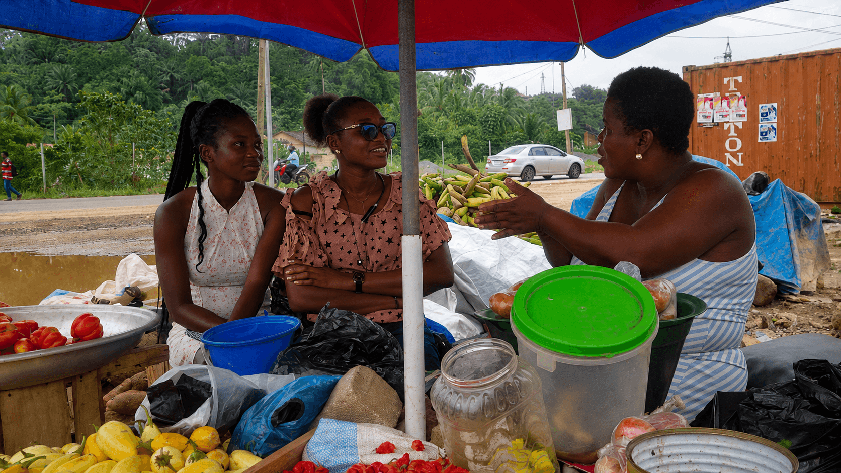 Produce being checked and recorded at market